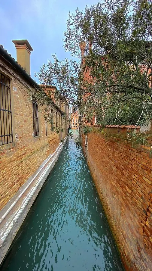 Апартаменты Artistico - Artistic Flat In Front Of Guggenheim Collection Венеция 0*,  Италия